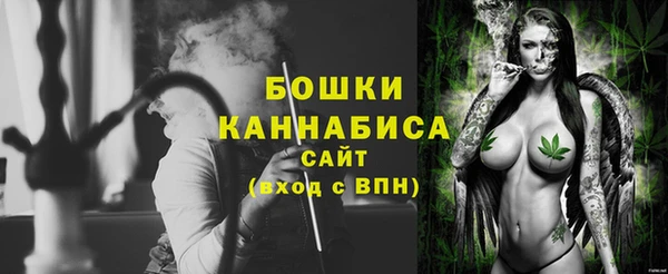 стаф Дмитриев