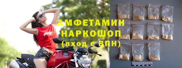 стаф Дмитриев