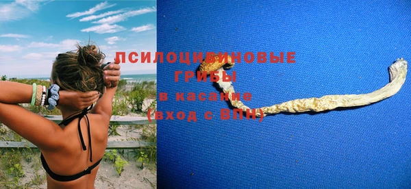 стаф Дмитриев