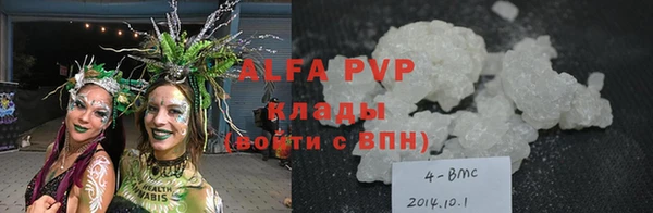 стаф Дмитриев