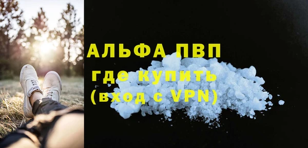 стаф Дмитриев