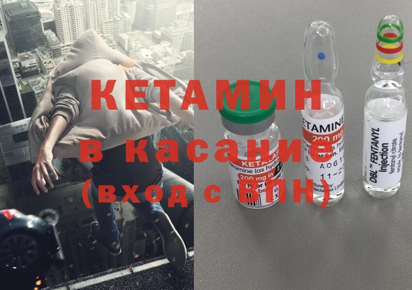 стаф Дмитриев