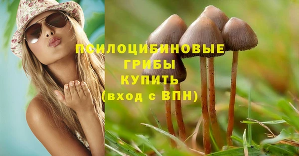 стаф Дмитриев