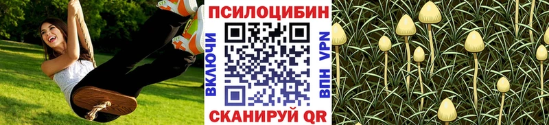 Псилоцибиновые грибы Psilocybine cubensis Суворов